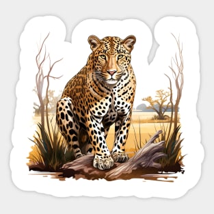 African Leopard Sticker